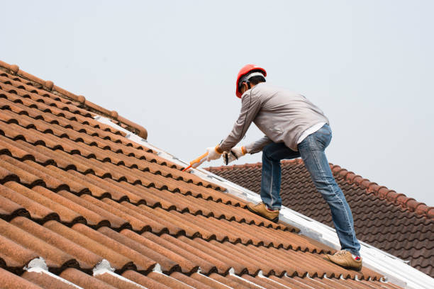 Best Green or Eco-Friendly Roofing Solutions  in Russellville, AL